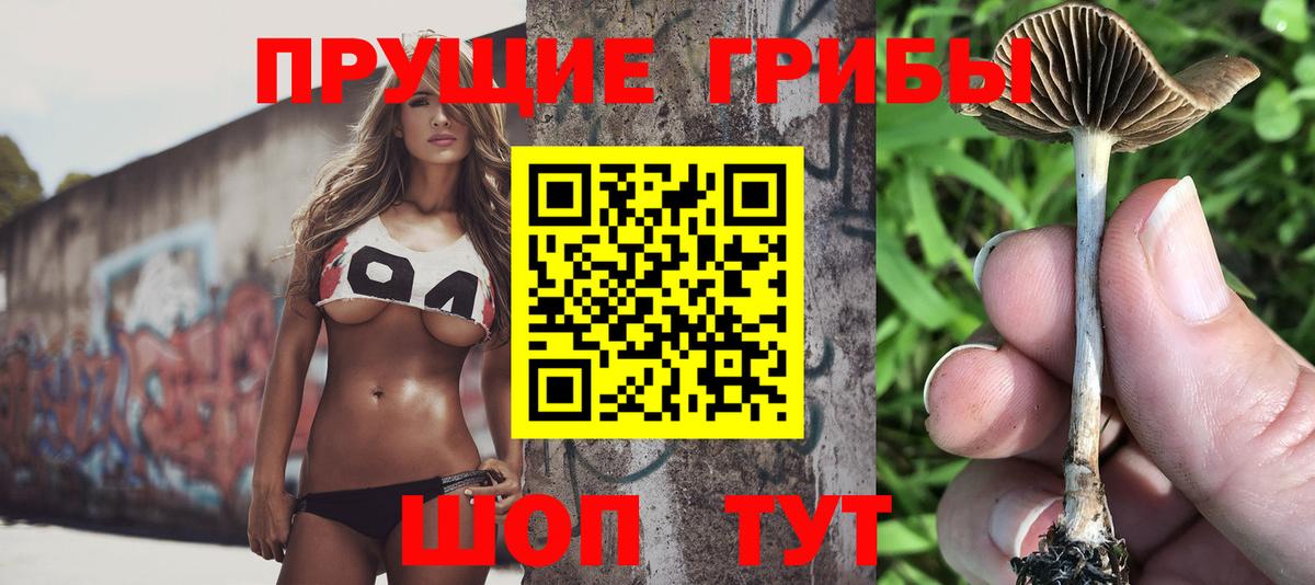 Псилоцибиновые грибы Psilocybe  Вход с VPN  Радужный 